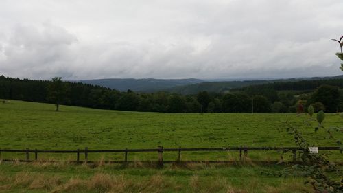 Scenic view of agricultural field against cloudy sky