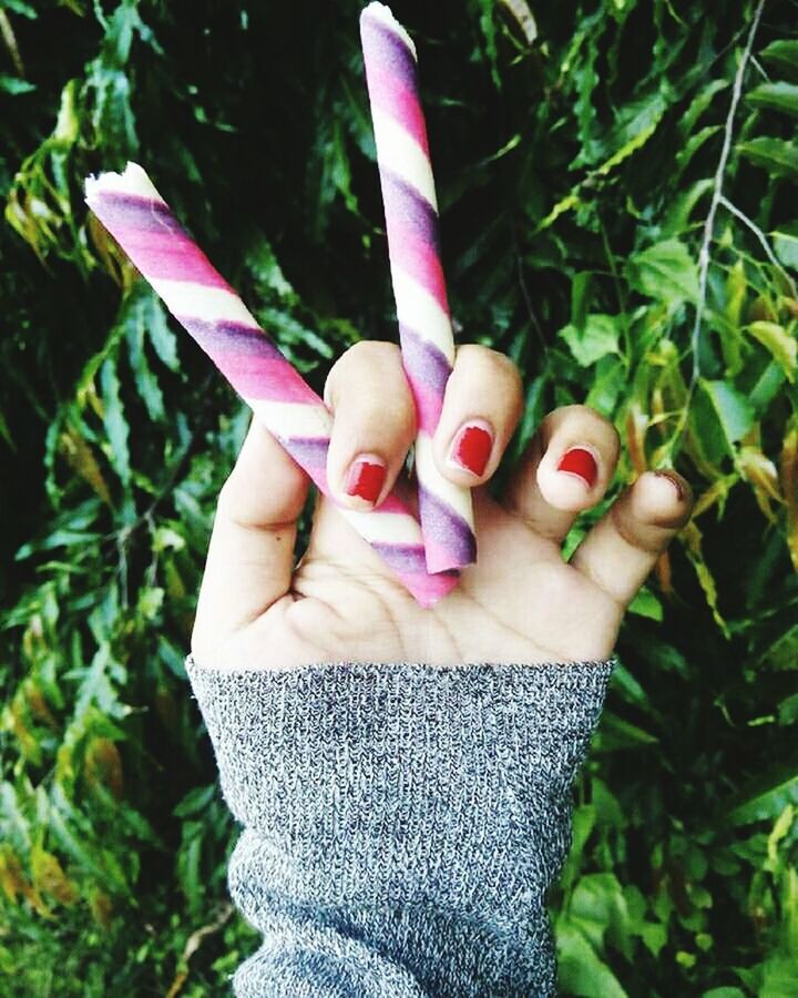 CLOSE-UP OF WOMAN HAND HOLDING PLANTS