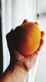 Close-up of hand holding apple