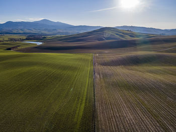 Scenic view of agricultural field against sky