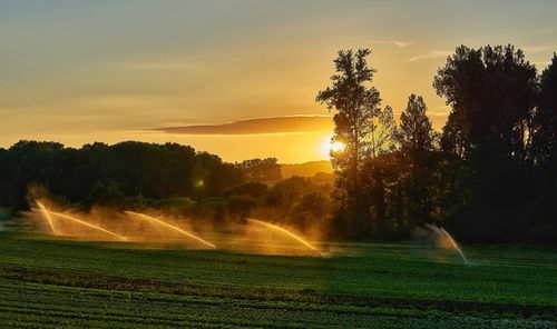 Scenic view of field against sky during sunset