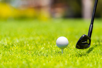 Golf ball on grass