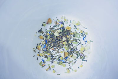 High angle view of flowers in plate