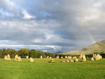 Panoramic view of trees on field against sky