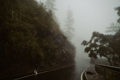 Bridge over river amidst trees against sky