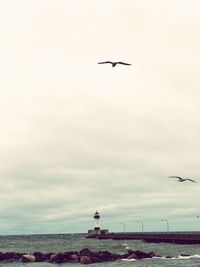 Seagull flying over sea against sky