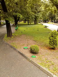 Plants and trees in park