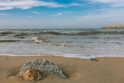 Scenic view of beach against sky