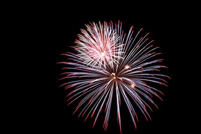 Low angle view of firework display against sky at night