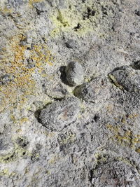 High angle view of footprints on sand