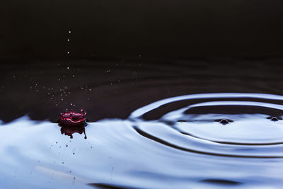 Close-up of water drop splashing in lake