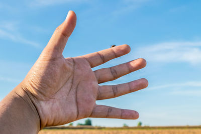 Cropped hand gesturing at farm against blue sky
