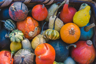 High angle view of pumpkins in market