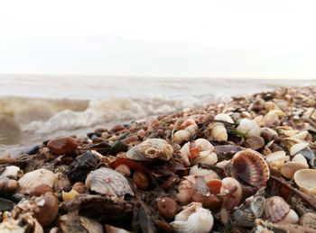 Close-up of pebbles on beach against sky