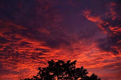 Low angle view of silhouette trees against orange sky