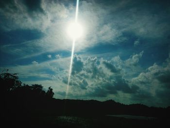 Low angle view of trees against sky