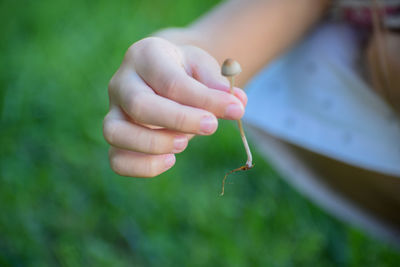 Close-up of hand holding leaf