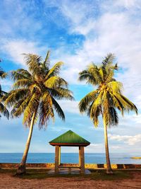 Palm trees on beach against sky