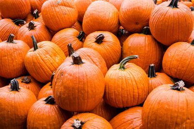 Full frame shot of pumpkins