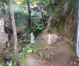 Stream flowing through rocks