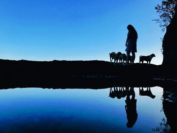 Silhouette people by lake against blue sky