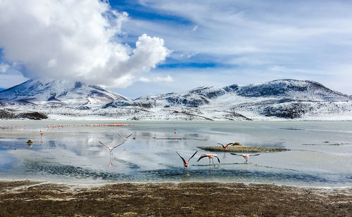 Scenic view of snowcapped mountains against sky