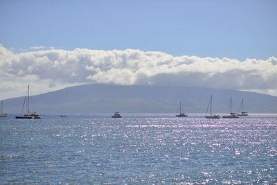 Sailboats sailing in sea against sky