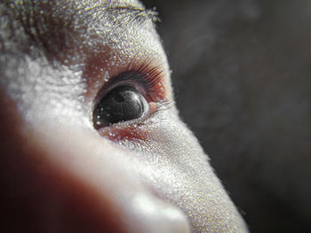 Close-up of human eye