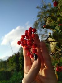 Midsection of man holding strawberry against sky