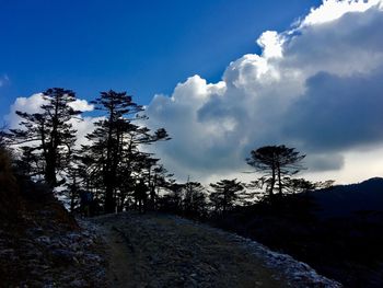 Trees on landscape against sky