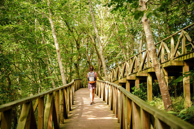 Rear view of girl walking on footbridge in forest