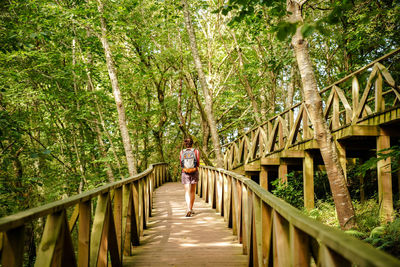 Rear view of woman on footbridge in forest