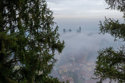 High angle view of trees against sky