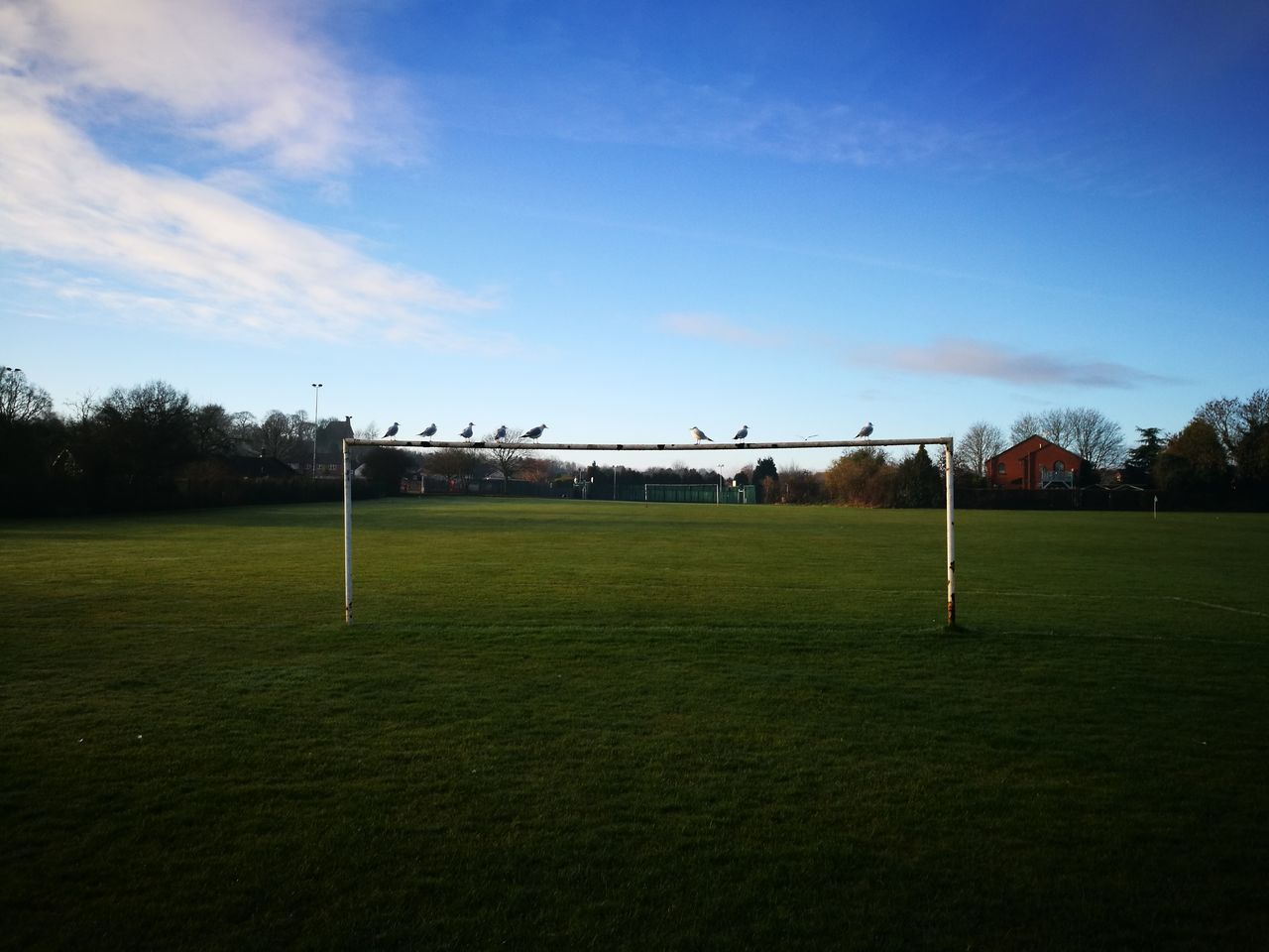 PEOPLE ON SOCCER FIELD AGAINST SKY