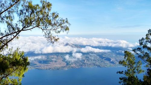 Scenic view of tree against sky