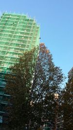 Low angle view of trees against clear blue sky