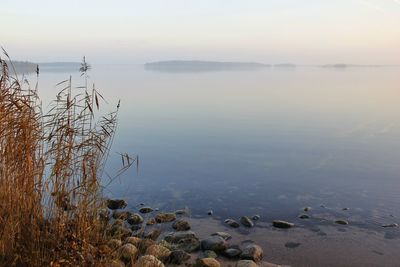 Scenic view of lake at sunset