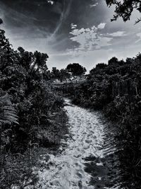 River amidst trees in forest against sky