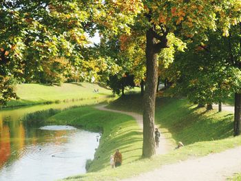 View of a dog looking away