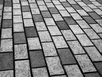 High angle view of cobblestone footpath