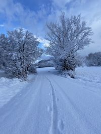 Snow covered field by trees against sky