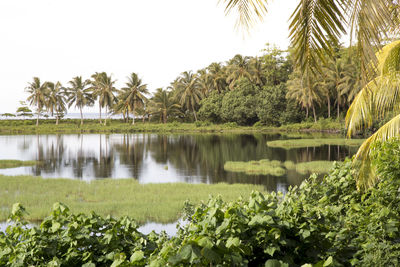 Scenic view of lake against clear sky