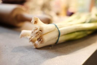 Cropped hand of person cutting board