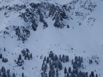 Scenic view of snow covered land and trees against sky