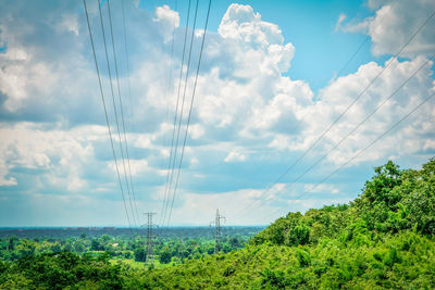 Plants growing on land against sky