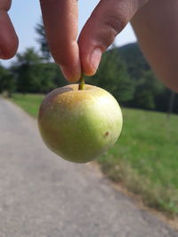 Close-up of hand holding apple