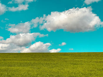 Scenic view of field against sky