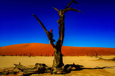 Scenic view of sossusvlei desert against clear blue sky