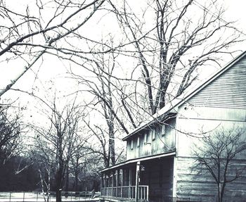 Low angle view of bare trees and buildings