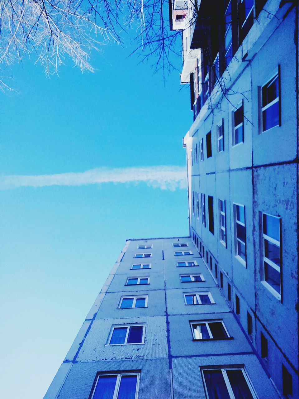 building exterior, architecture, built structure, low angle view, city, building, window, blue, bare tree, sky, residential building, residential structure, day, outdoors, no people, sunlight, tree, directly below, modern, reflection